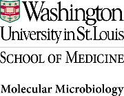 Washington University School of Medicine Logo